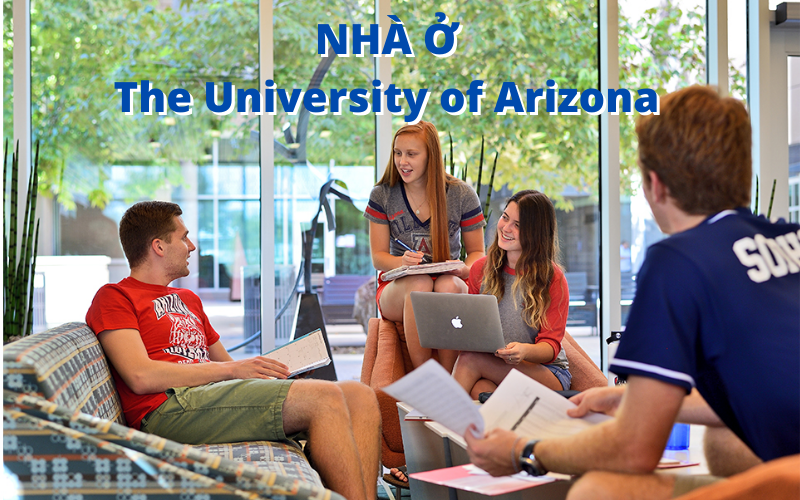 Nhà ở cho sinh viên ở trường The University of Arizona có gì hot?